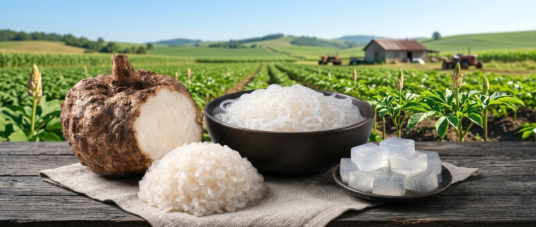 What Is Konjac? The Root Behind Your "Guilt-Free" Noodles, Explained